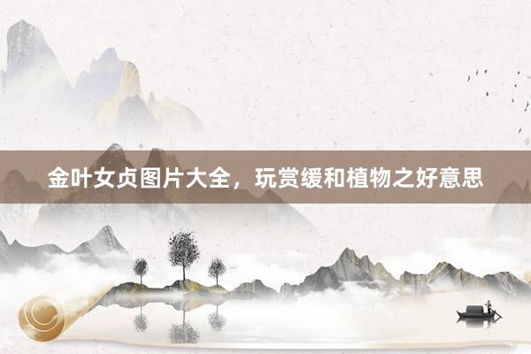 金叶女贞图片大全，玩赏缓和植物之好意思